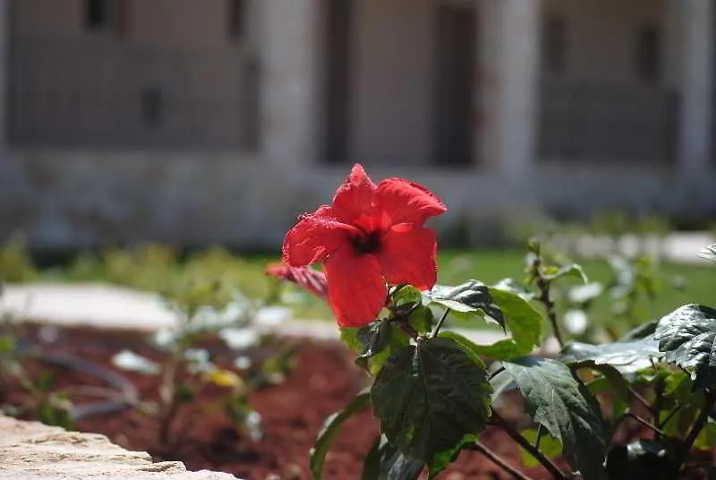 Hotel Magnolia Resort (Adults Only) Katelios